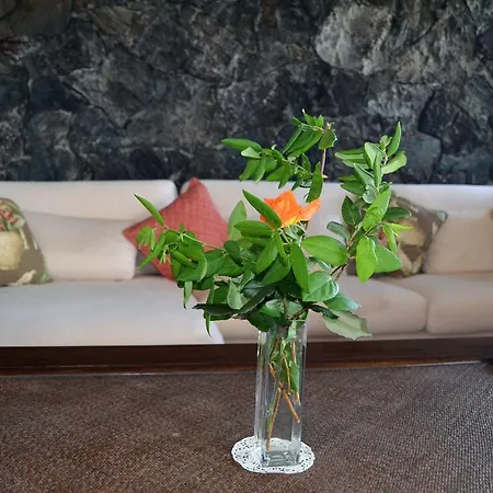 Villa Vista Timanfaya *